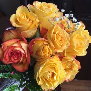 Meet your Posher, Ellen